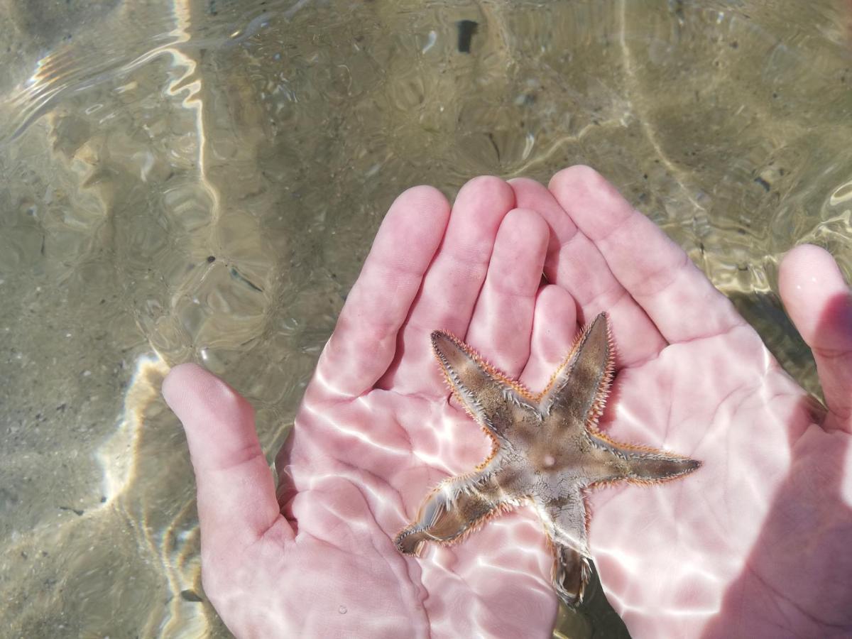 Apartmán Attico Fronte Mare Martinsicuro Exteriér fotografie